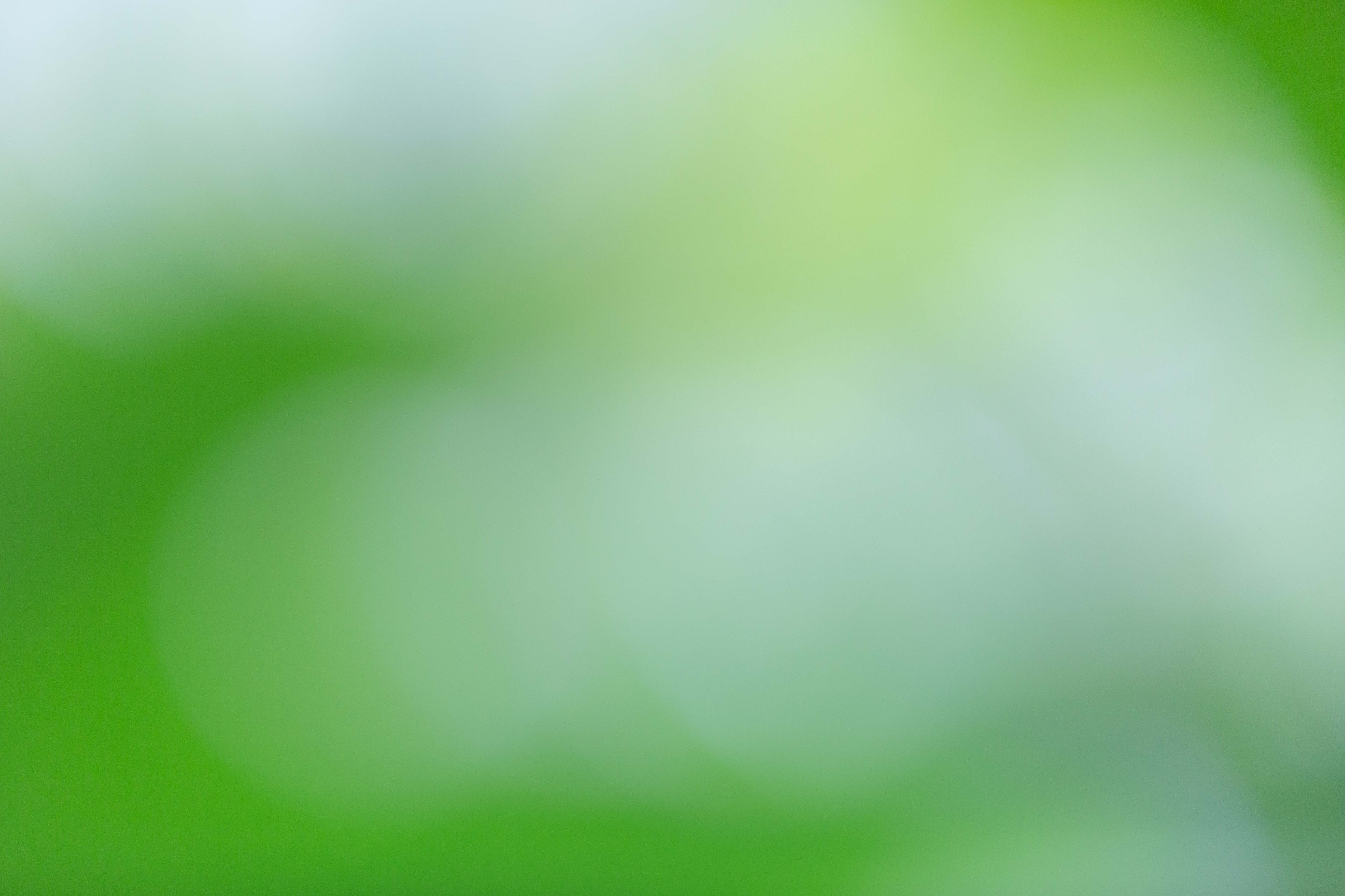 Sustainable Design with Eco-Friendly Materials & Themes